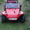 buggy 005.jpg